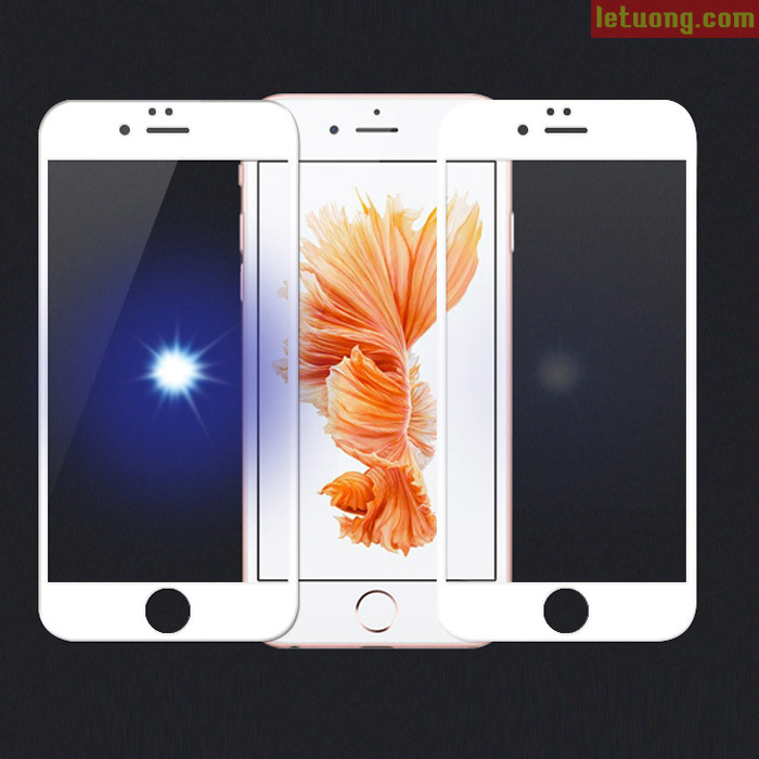 Kính cường lực Energizer CL ENCLTGCLIP7P cho iPhone 6 Plus/ 6S Plus/ 7 Plus